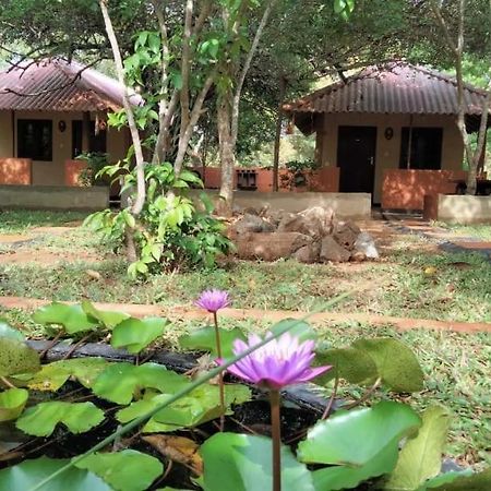 Hotel Niyagala Lodge Sigiriya Eksteriør bilde