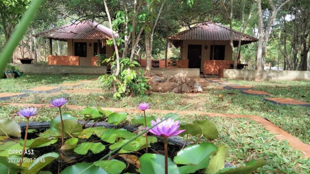 Hotel Niyagala Lodge Sigiriya Eksteriør bilde